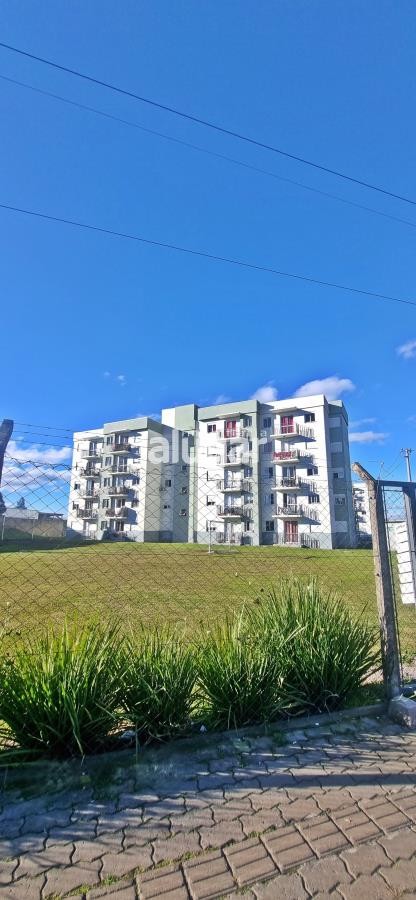 Imóvel 6307